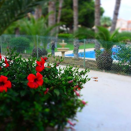 LOS ALAMILLOS 3 Piscina, CAMPO DE FUTBOL y jardin PRIVADOS Mazarrón Exterior foto