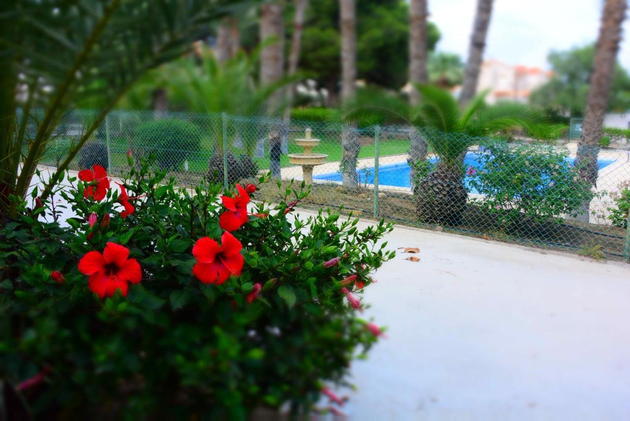 LOS ALAMILLOS 3 Piscina, CAMPO DE FUTBOL y jardin PRIVADOS Mazarrón Exterior foto