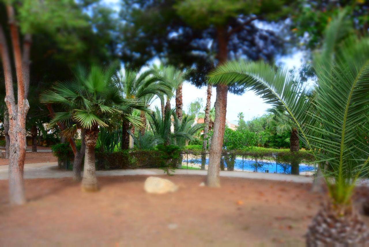 LOS ALAMILLOS 3 Piscina, CAMPO DE FUTBOL y jardin PRIVADOS Mazarrón Exterior foto
