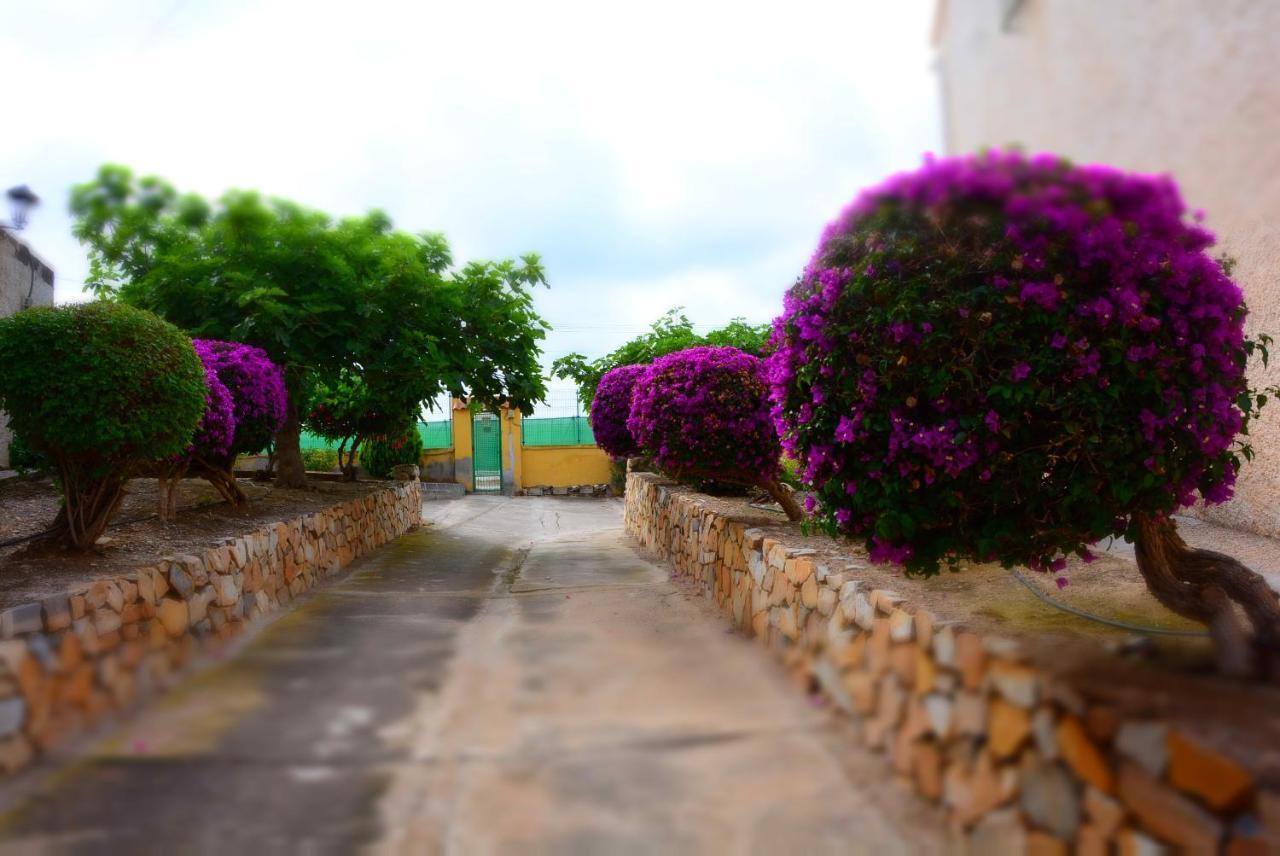 LOS ALAMILLOS 3 Piscina, CAMPO DE FUTBOL y jardin PRIVADOS Mazarrón Exterior foto