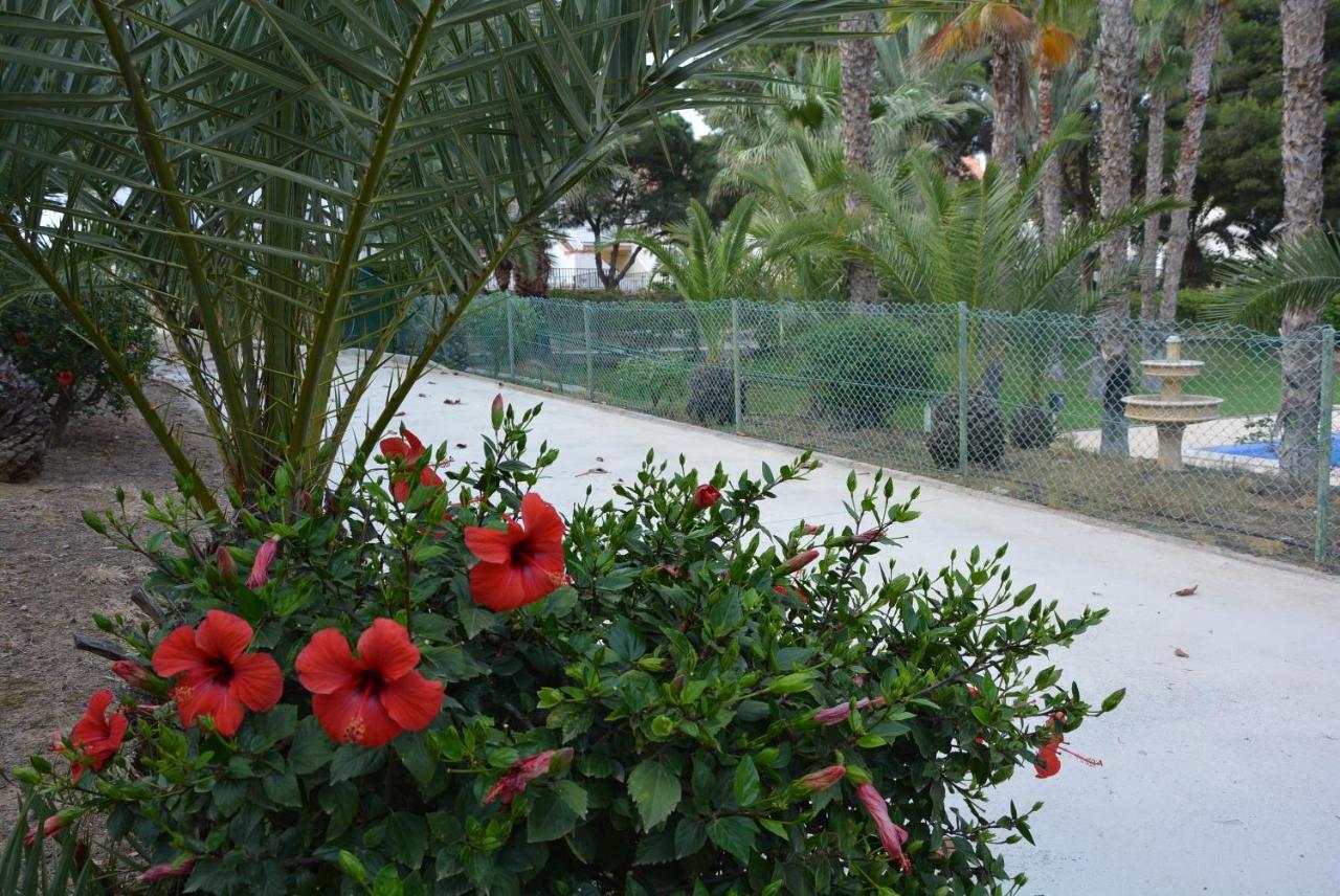 LOS ALAMILLOS 3 Piscina, CAMPO DE FUTBOL y jardin PRIVADOS Mazarrón Exterior foto