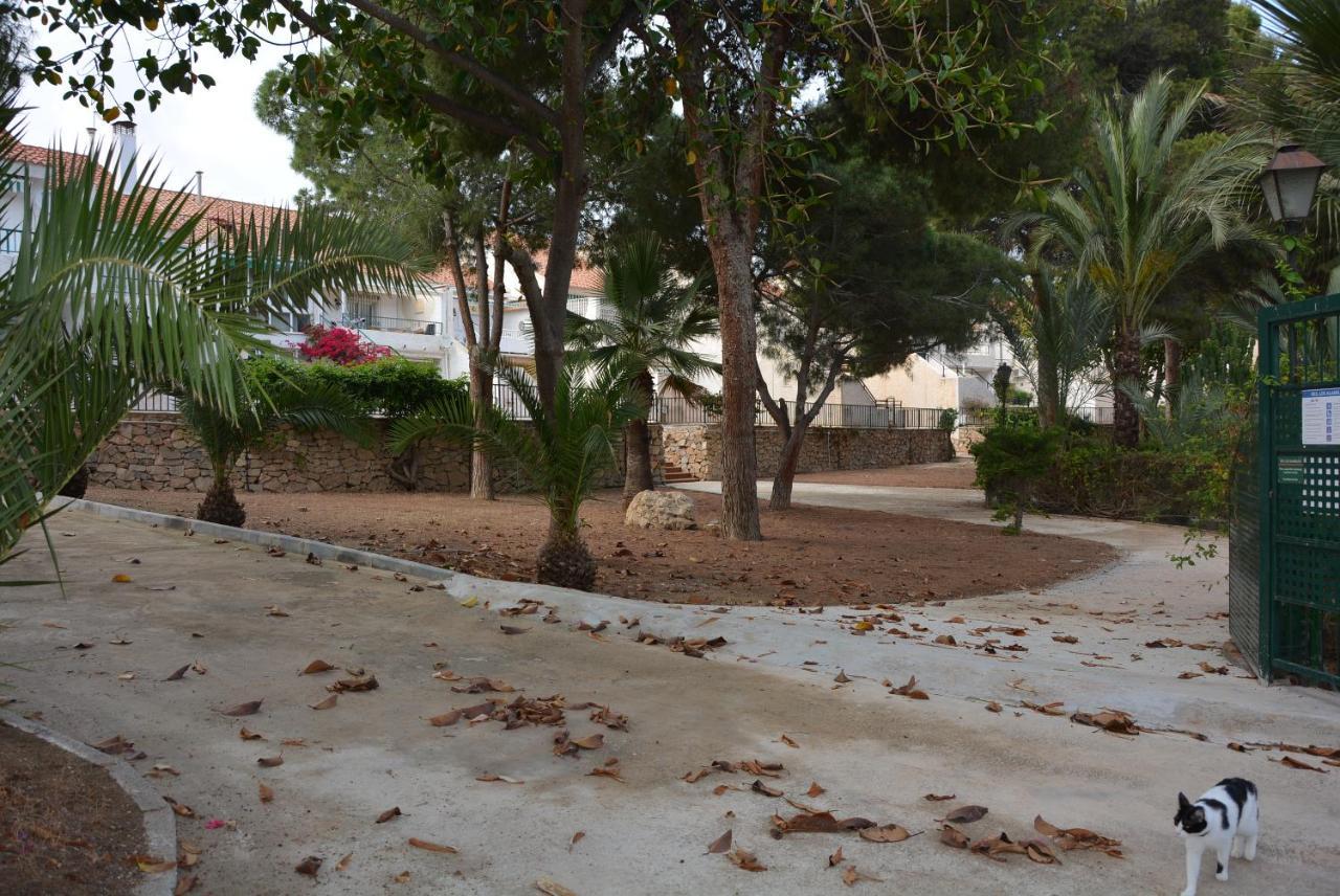 LOS ALAMILLOS 3 Piscina, CAMPO DE FUTBOL y jardin PRIVADOS Mazarrón Exterior foto