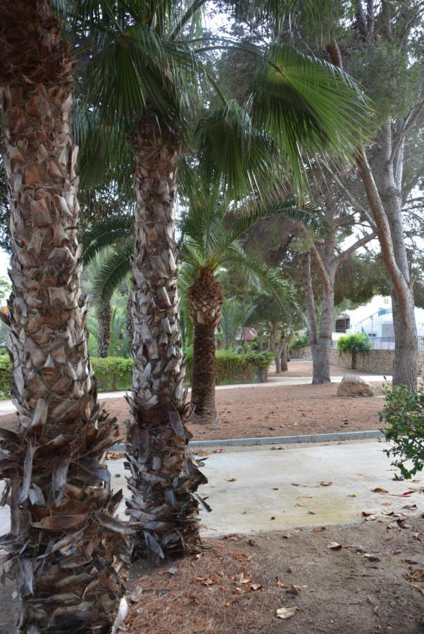 LOS ALAMILLOS 3 Piscina, CAMPO DE FUTBOL y jardin PRIVADOS Mazarrón Exterior foto