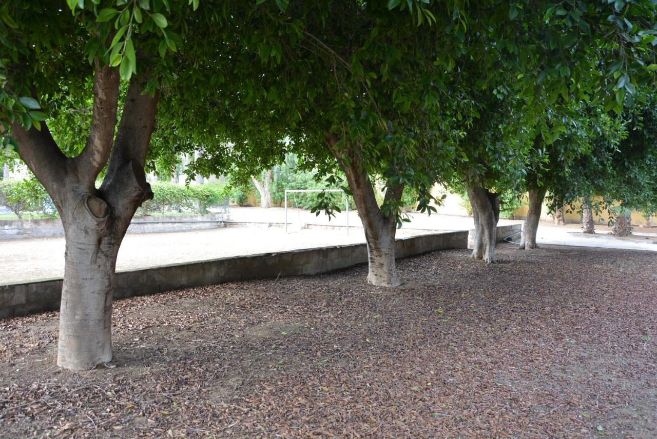 LOS ALAMILLOS 3 Piscina, CAMPO DE FUTBOL y jardin PRIVADOS Mazarrón Exterior foto