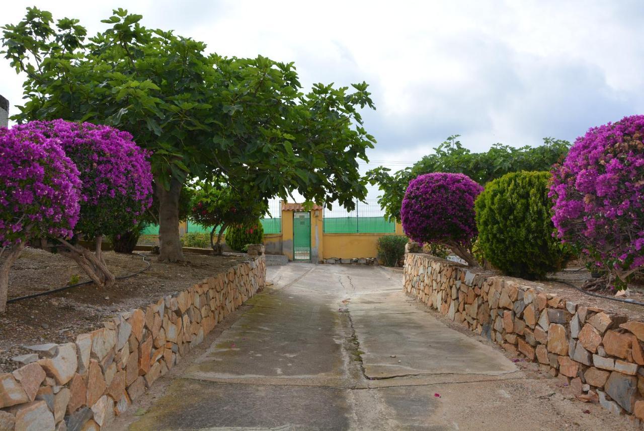 LOS ALAMILLOS 3 Piscina, CAMPO DE FUTBOL y jardin PRIVADOS Mazarrón Exterior foto